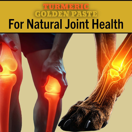 Turmeric and Joint Health: Natural Relief for Arthritis