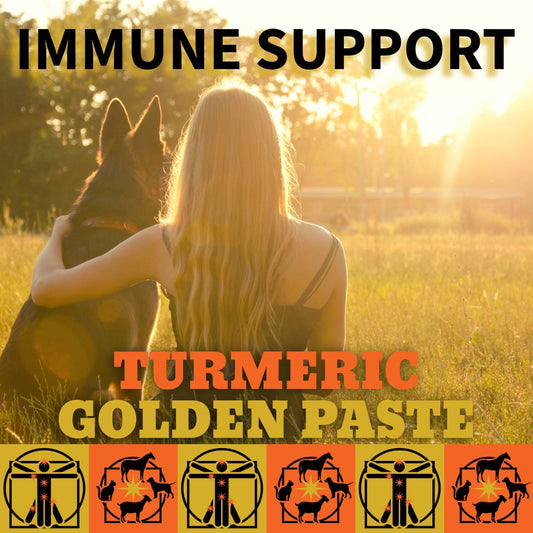 Turmeric is a Safe Natural Remedy for Viral Infections